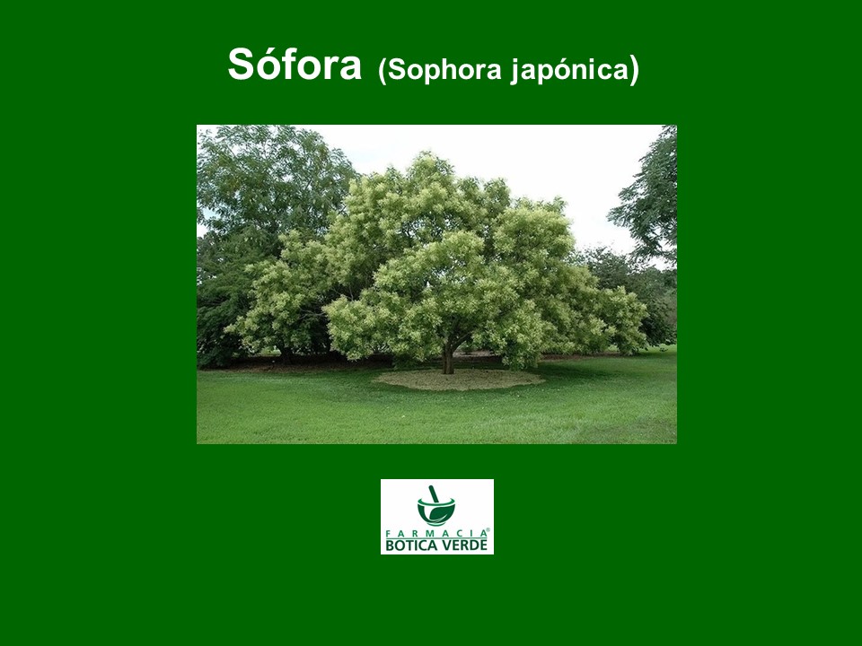 Imagen de la novedad